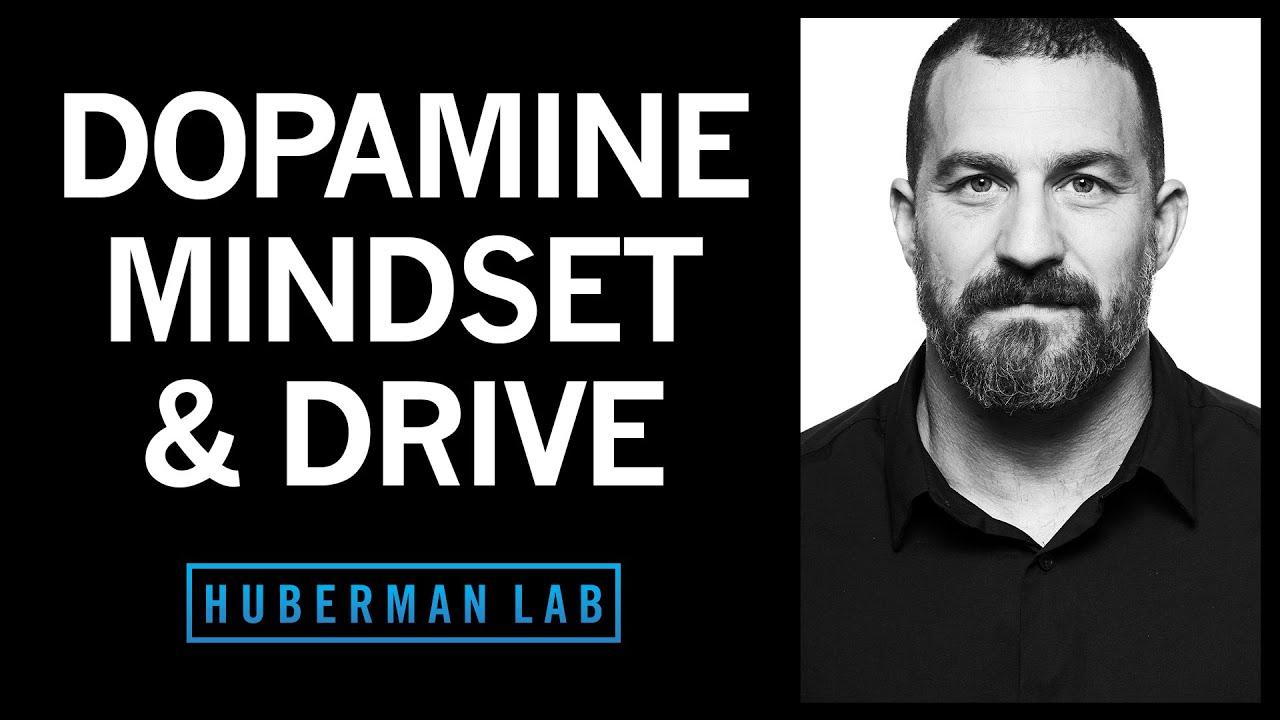 Thumbnail for Controlling Your Dopamine For Motivation, Focus & Satisfaction | Huberman Lab Podcast #39